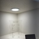 루디헤어 이미지