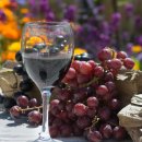 푸드마켓 월곡점 | 🎡요즘 핫한 국내 축제 추천🎉