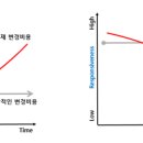 자바클린