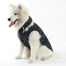 에이미펫 이미지