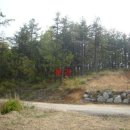 여주-0272 이미지