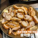 동네생막창 | 울산 막창맛집 불막열삼, 남구 야음동 신상 고기집 생막창 솔직후기