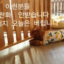 소중한 개 이미지