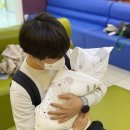 더올리비에르 이미지