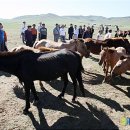 이상기목장 이미지