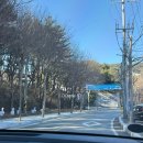 덕산정 | 덕산 스플라스 리솜 🌊28개월 두돌 아기랑 임산부 겨울 워터파크, 투숙 후기