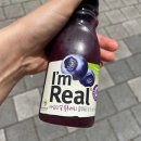 마이도시 세종법제처