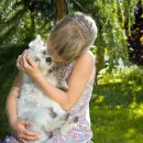 24시 성심동물메디컬센터 이미지