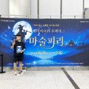 마술피리 | 광주실내데이트 배리어프리 오페라 <마술피리>관람 후기 및 주차정보