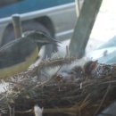 굿모닝농장 이미지