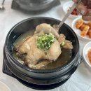 모장참옻닭 - 여수시 죽림1길 46 | 모장참옻닭