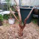 토요일, 일요일 이미지