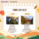 조이스투어