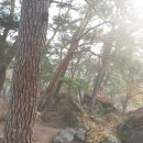 대풍원펜션민박 이미지