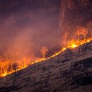 참자연한방병원 이미지