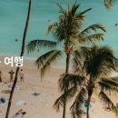 마이주주 이미지