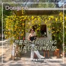 아프리카안경(롯데은평점) | 동탄 롯데백화점 젠틀몬스터 로랑(Lolang) 도수 넣은 선글라스