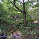 뜬봉샘생태공원 이미지