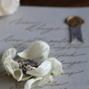 영문 모던 캘리그라피 2 이미지