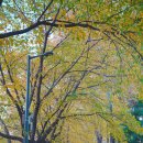 양재시민의숲 역 1번 출구 이미지