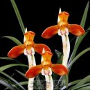 수천농장 이미지