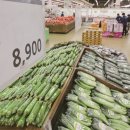 김밥세상 이미지