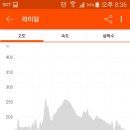 골든바이크