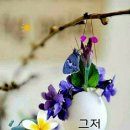 Re: 2인 1조 -- 여객기는 왜 꼭 2명이 조종해야 할까 이미지