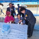 쌍치 추령천 벚꽃축제 이미지