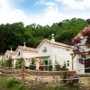 대지팜스 이미지