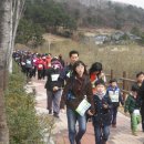 울산시민공원 Daum카페