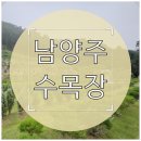 합천동행센타 | 남양주 수목장 선택 전 꼭 알아야 할 핵심 정보