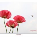 사랑길약국 이미지