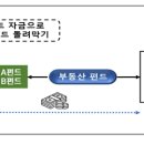 대주주 필요에 따라 펀드자금을 유용하는 등 고객재산을 사유화한 사례[도관체를 이용한 대주주 편익제공] 이미지