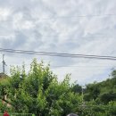 동진메디칼 이미지