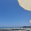 제주돈애월점 네이버블로그