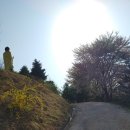 한의마을한의원 이미지