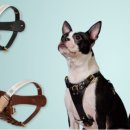 (주)네오팝 이미지