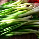 조선갓김치 이미지