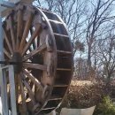 파인트리하우스 이미지