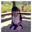 들놀이공원 이미지