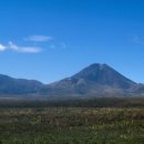 판상농장 이미지