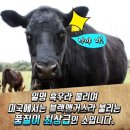 자존심식당 이미지