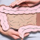 대한비만연구소 주식회사