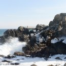 울진 나곡어촌체험마을 | 경북 울진 바다낚시 명소! 나곡낚시공원, 벵에돔·감성돔 낚시 명당 이용 시간 및 입장료 정보