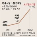 여성 작가와 한국 문학 조선일보