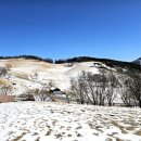 양아목장 | 강원도 평창 겨울여행지 대관령양떼목장 눈이 없어 설원풍경이 아쉬움