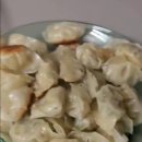 작은만두 | 코스트코 비비고 플랜테이블 물만두 한입크기 작은 군만두 후기