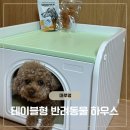 마루인터내셔날 | 애견하우스 고민하다 마루멍 강아지하우스 정착, 후기