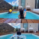 판포2060 이미지